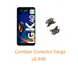 Cambiar Conector Carga Para...