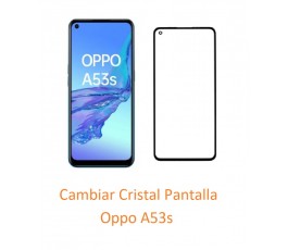 Cambiar Cristal Pantalla...