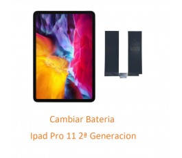 Cambiar Bateria Ipad Pro 11...