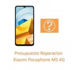 Presupuesto Reparacion...