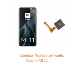 Cambiar Flex Lector Huella...