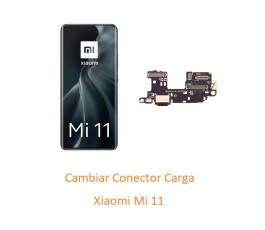 Cambiar Conector Carga...