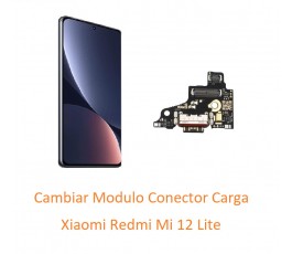 Cambiar Modulo Conector...