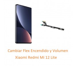 Cambiar Flex Encendido y...