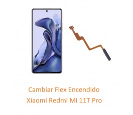 Cambiar Flex Encendido...