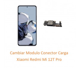 Cambiar Modulo Conector...