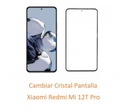 Cambiar Cristal Pantalla...