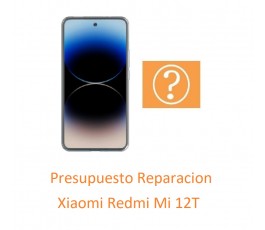 Presupuesto Reparacion...