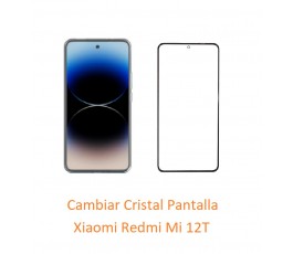 Cambiar Cristal Pantalla...