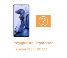 Presupuesto Reparacion...