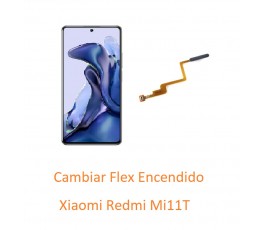 Cambiar Flex Encendido...