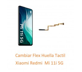 Cambiar Flex Huella Tactil...