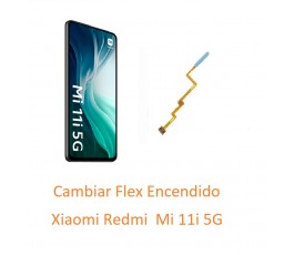 Cambiar Flex Encendido...