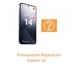 Presupuesto Reparacion...