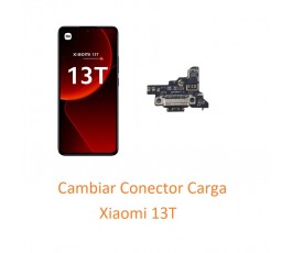 Cambiar Conector Carga...