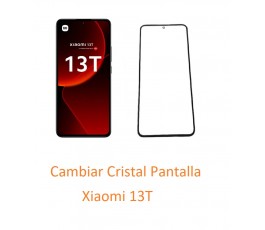 Cambiar Cristal Pantalla...