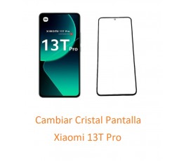 Cambiar Cristal Pantalla...