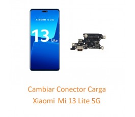 Cambiar Conector Carga...