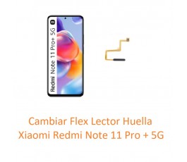 Cambiar Flex Huella Tactil...