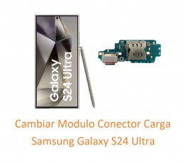 Cambiar Modulo Conector...