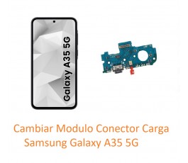 Cambiar Modulo Conector...