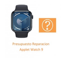 Presupuesto Reparacion...