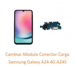 Cambiar Modulo Conector...