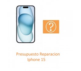 Presupuesto Reparacion...