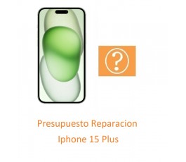 Presupuesto Reparacion...