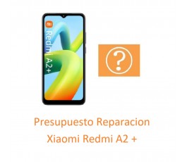 Presupuesto Reparacion...