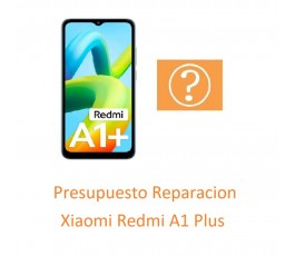 Presupuesto Reparacion...