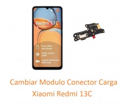 Cambiar Modulo Conector...