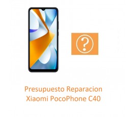 Presupuesto Reparacion...