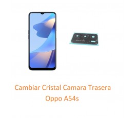 Cambiar Cristal Camara...