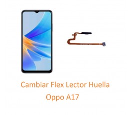 Cambiar Flex Lector Huella...