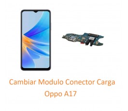 Cambiar Modulo Conector...