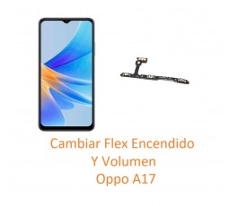 Cambiar Flex Encendido y...