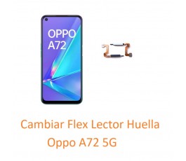 Cambiar Flex Lector Huella...