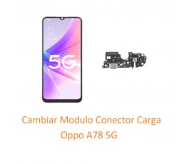 Cambiar Modulo Conector...