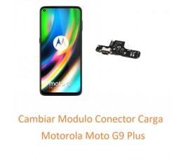 Cambiar Modulo Conector...